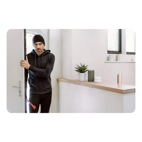 Netatmo Smart Indoor Camera